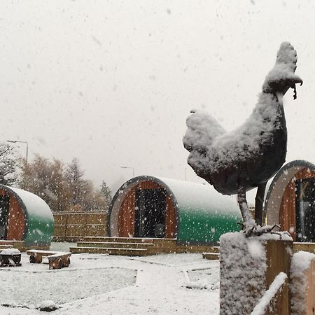 Inverness Glamping Εξωτερικό φωτογραφία
